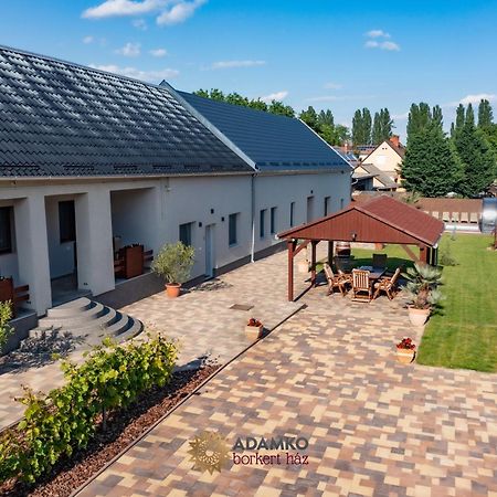 Bed and Breakfast Adamko Borkert Haz Виллань Экстерьер фото