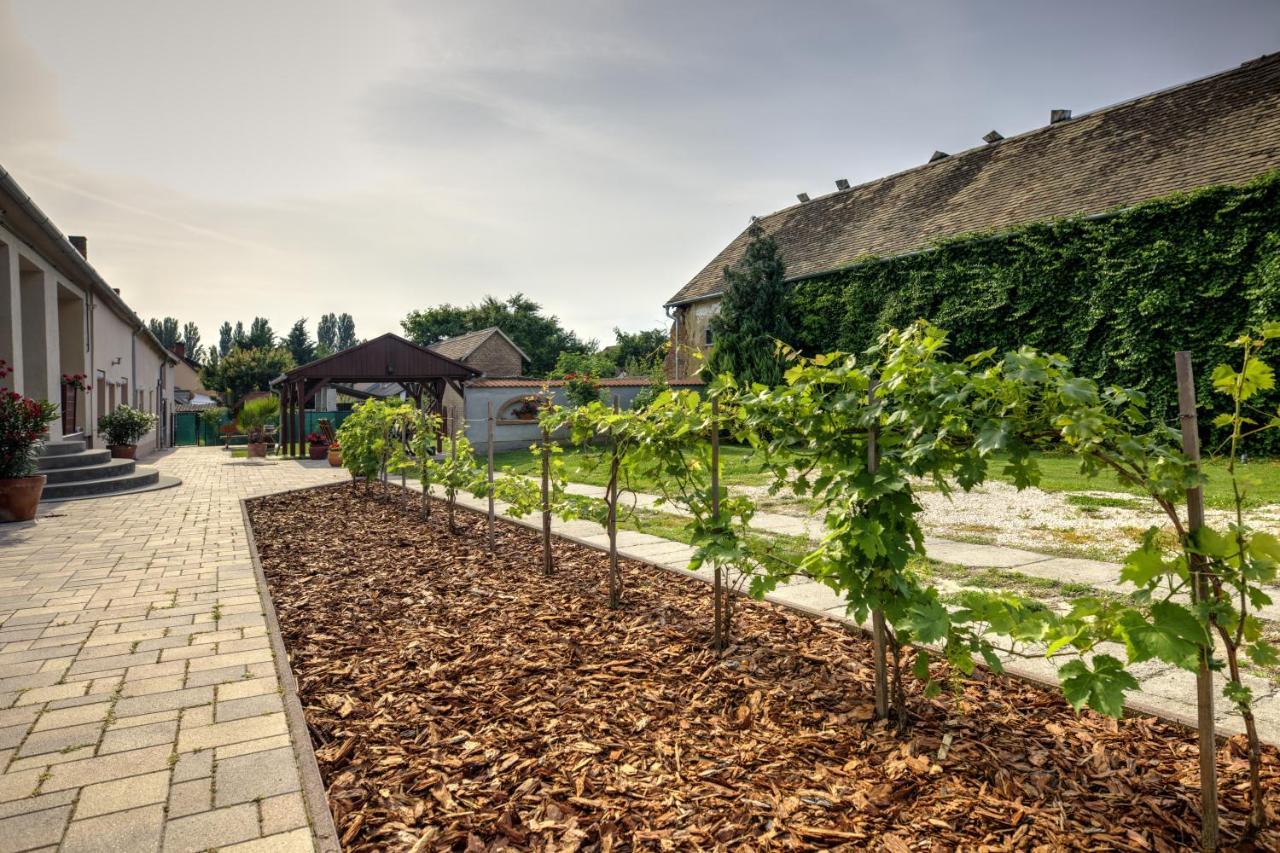 Bed and Breakfast Adamko Borkert Haz Виллань Экстерьер фото